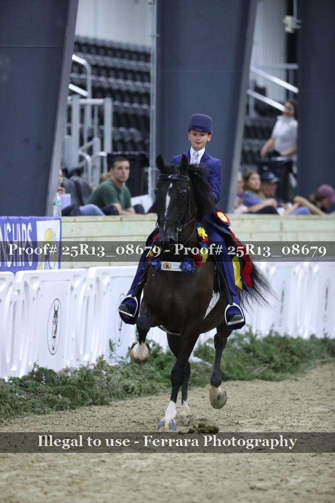 Proof Number 25R13_08679