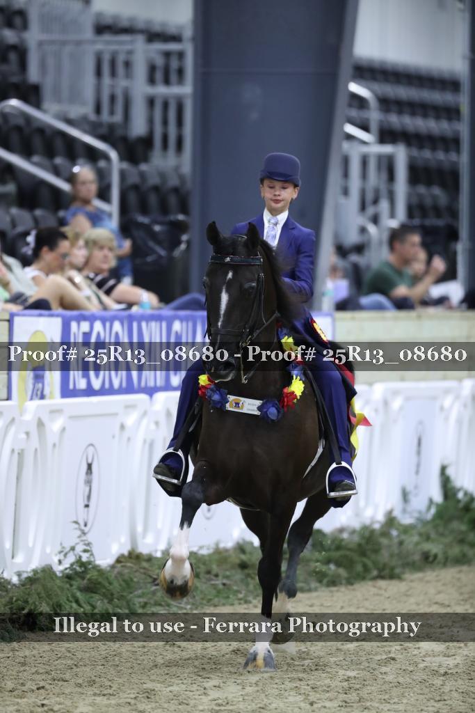 Proof Number 25R13_08680