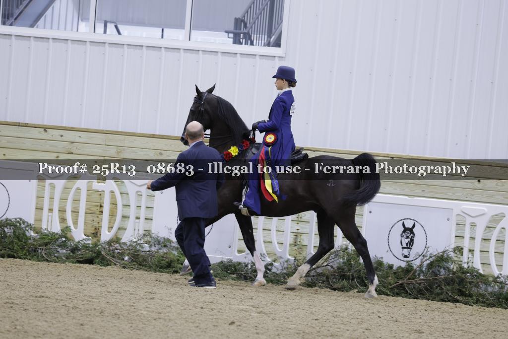 Proof Number 25R13_08683
