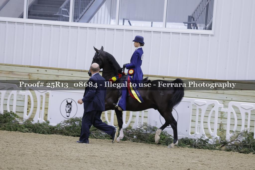 Proof Number 25R13_08684