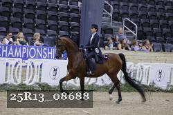 25R13_08688 thumbnail