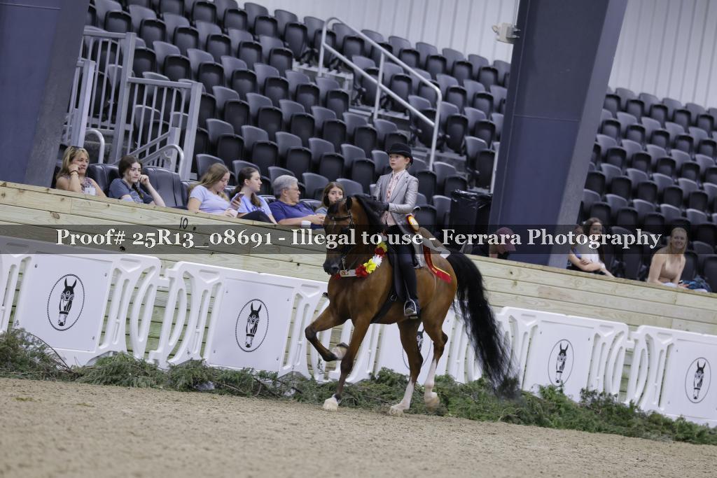 Proof Number 25R13_08691