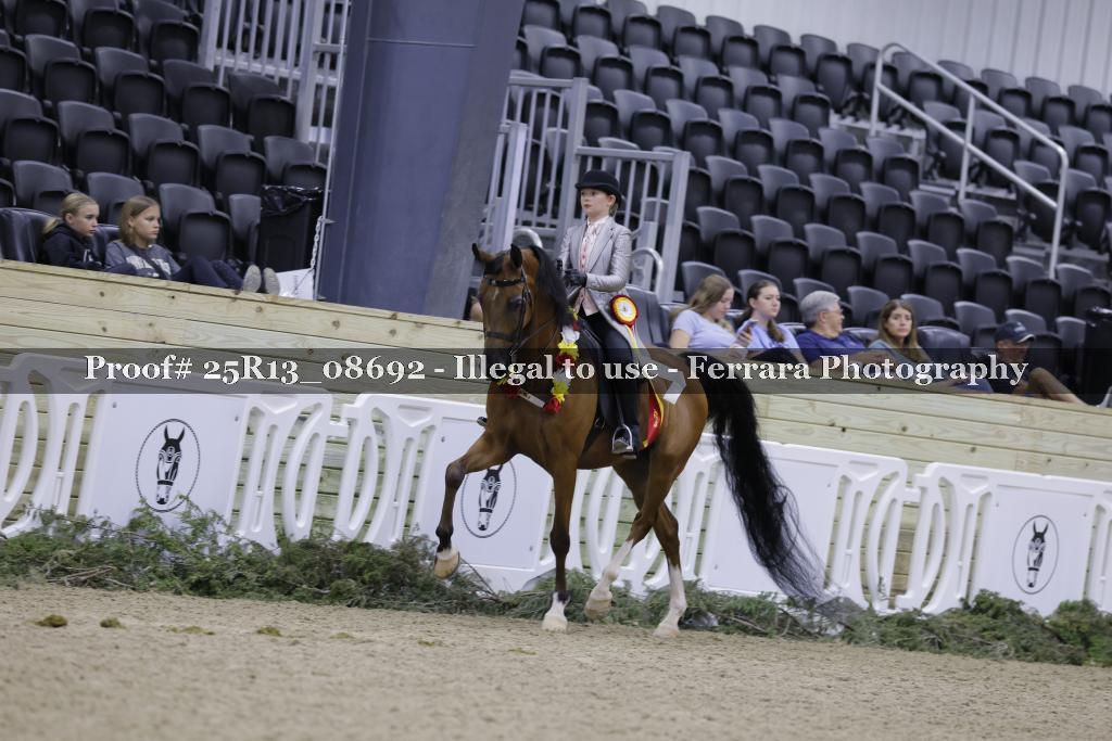 Proof Number 25R13_08692
