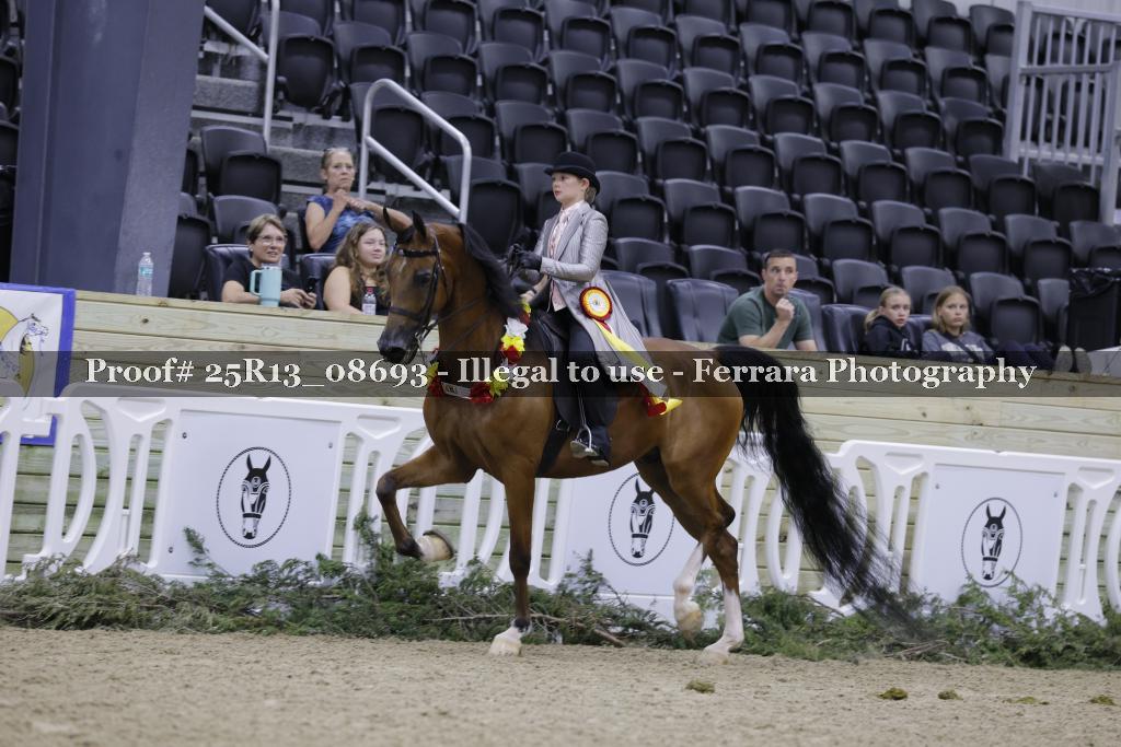 Proof Number 25R13_08693