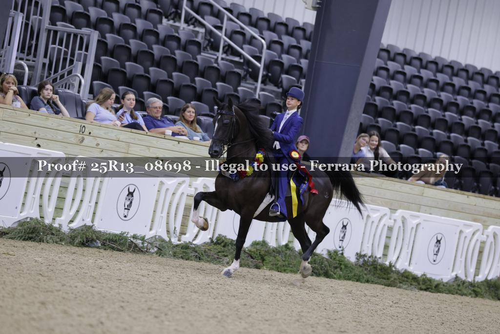 Proof Number 25R13_08698
