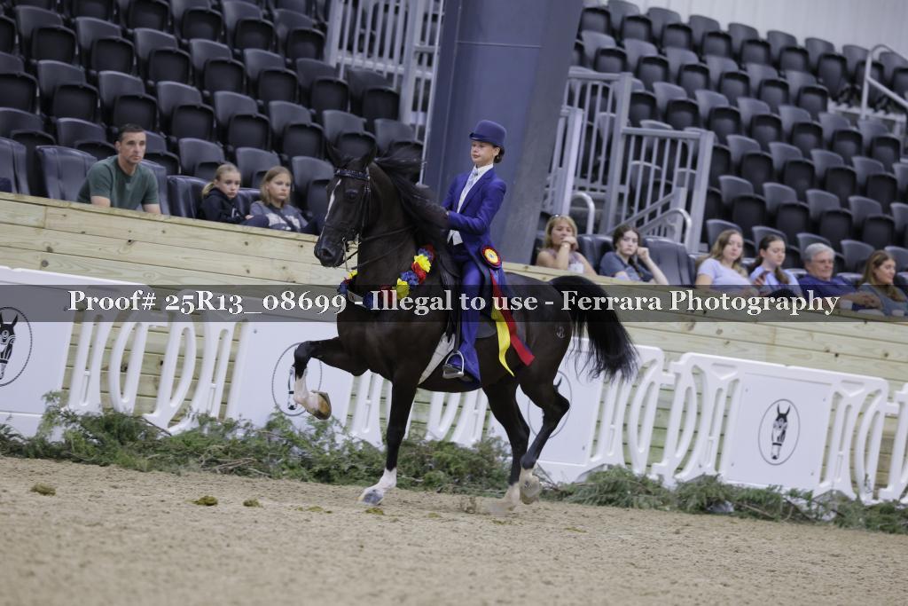 Proof Number 25R13_08699