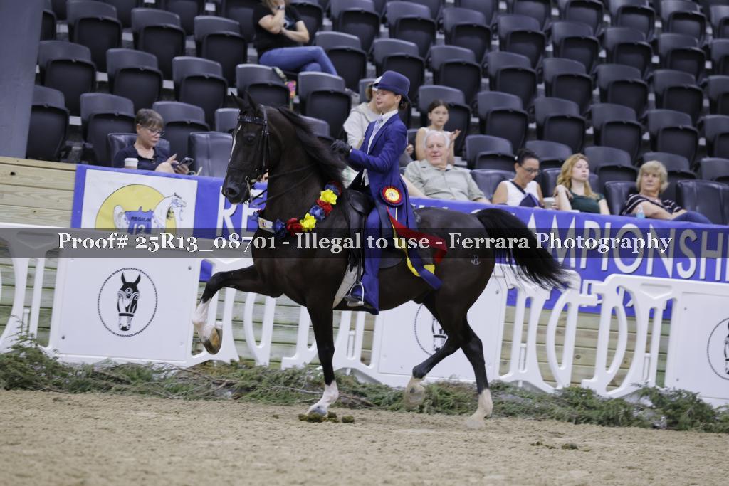 Proof Number 25R13_08701