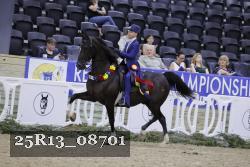 25R13_08701 thumbnail