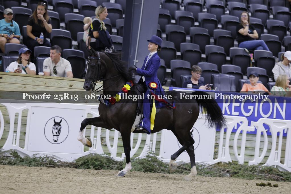 Proof Number 25R13_08702