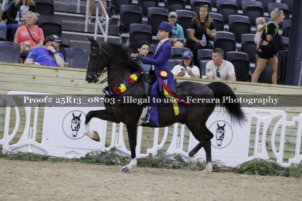 Proof Number 25R13_08703