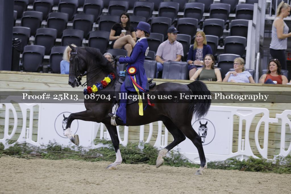 Proof Number 25R13_08704