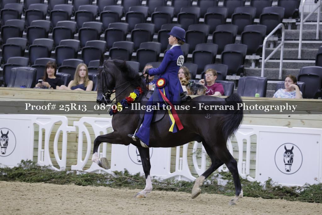 Proof Number 25R13_08705
