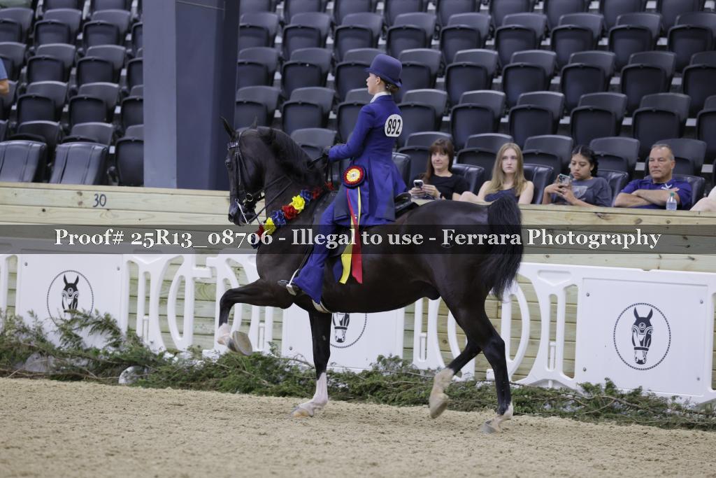 Proof Number 25R13_08706