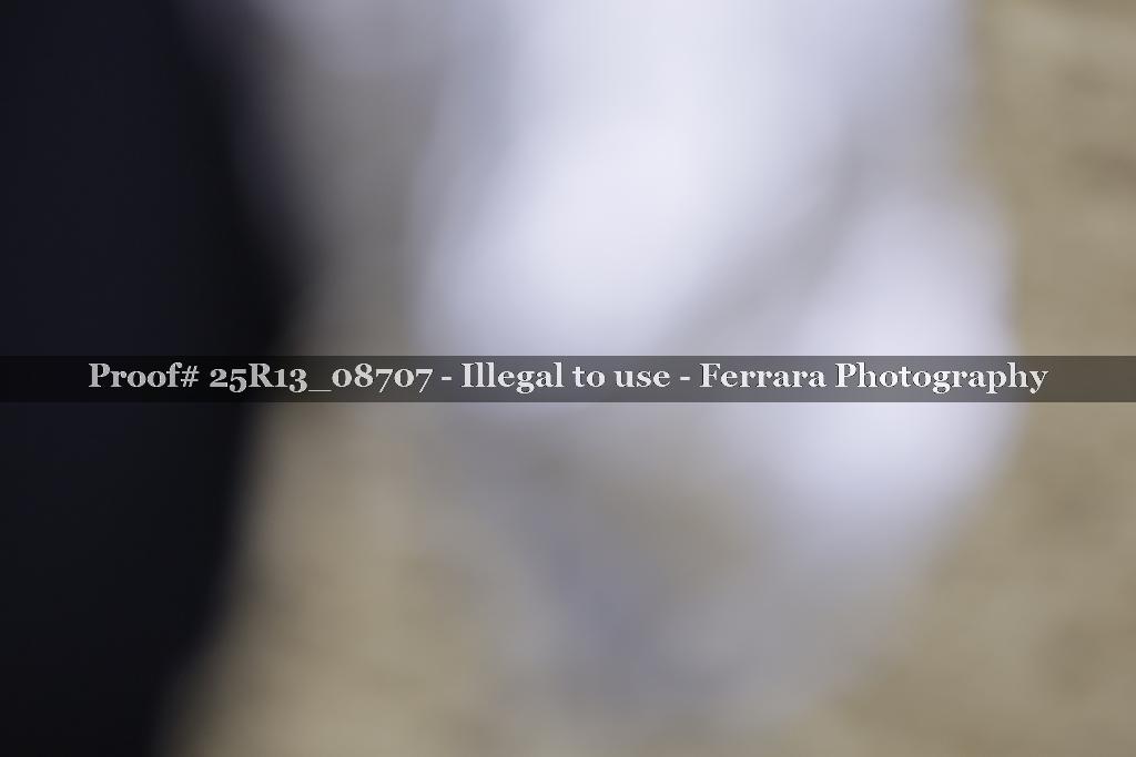 Proof Number 25R13_08707