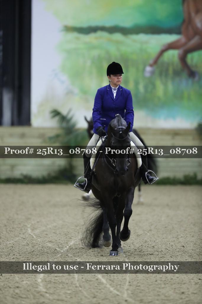 Proof Number 25R13_08708