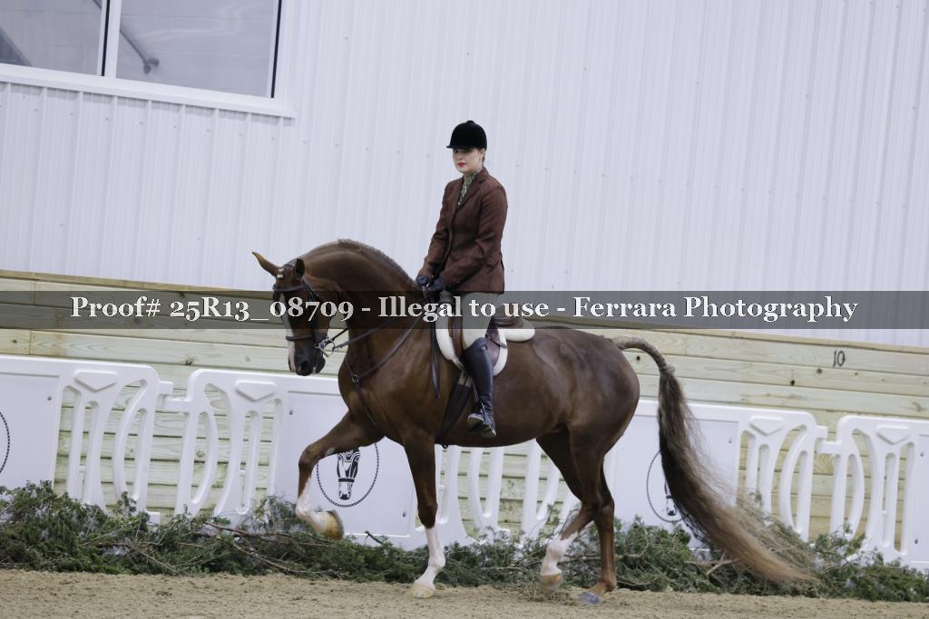 Proof Number 25R13_08709