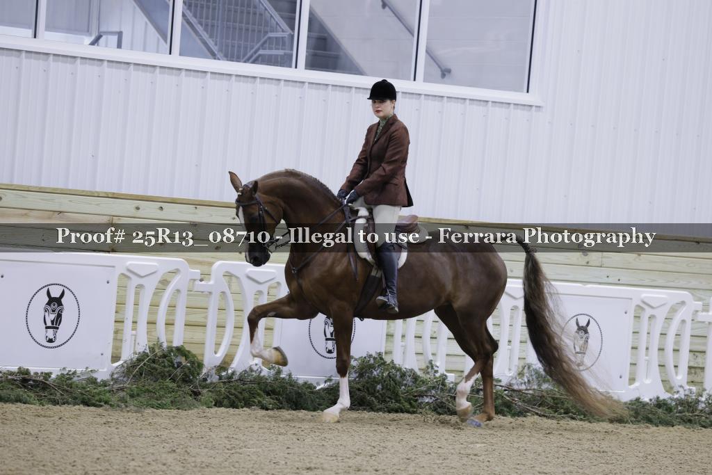 Proof Number 25R13_08710