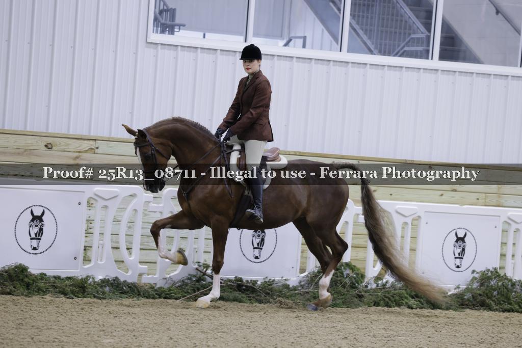 Proof Number 25R13_08711