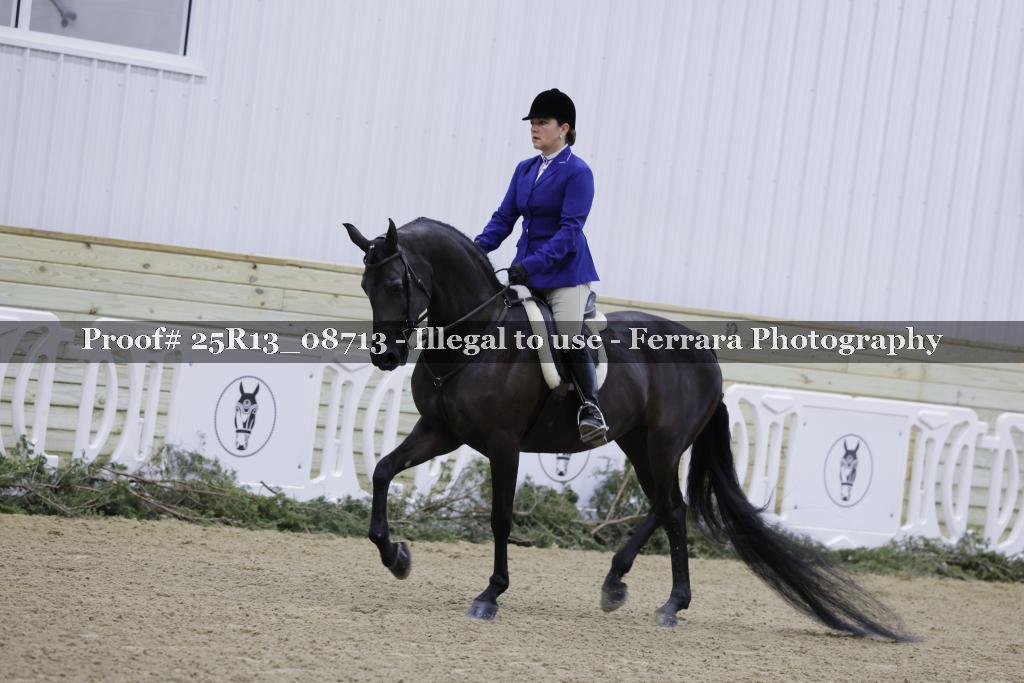 Proof Number 25R13_08713