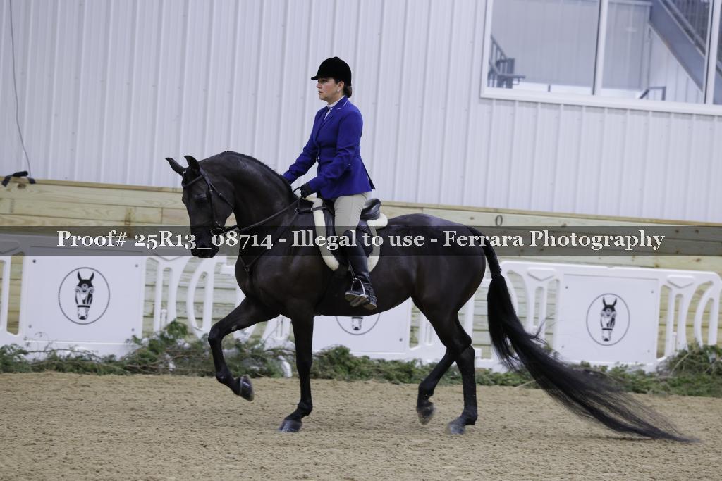 Proof Number 25R13_08714