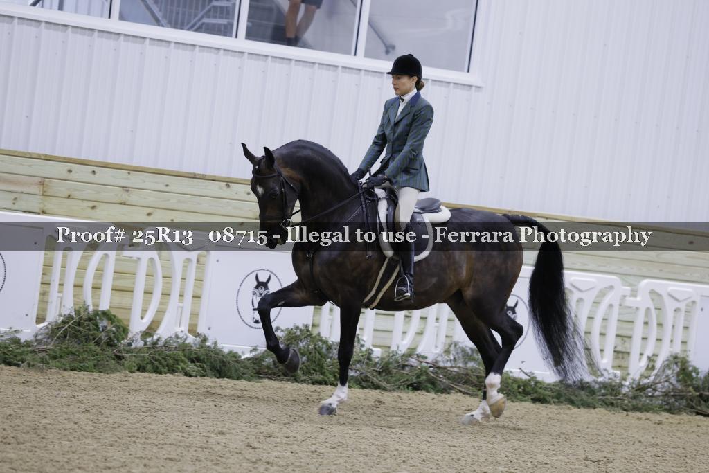 Proof Number 25R13_08715