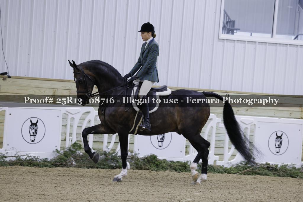 Proof Number 25R13_08716