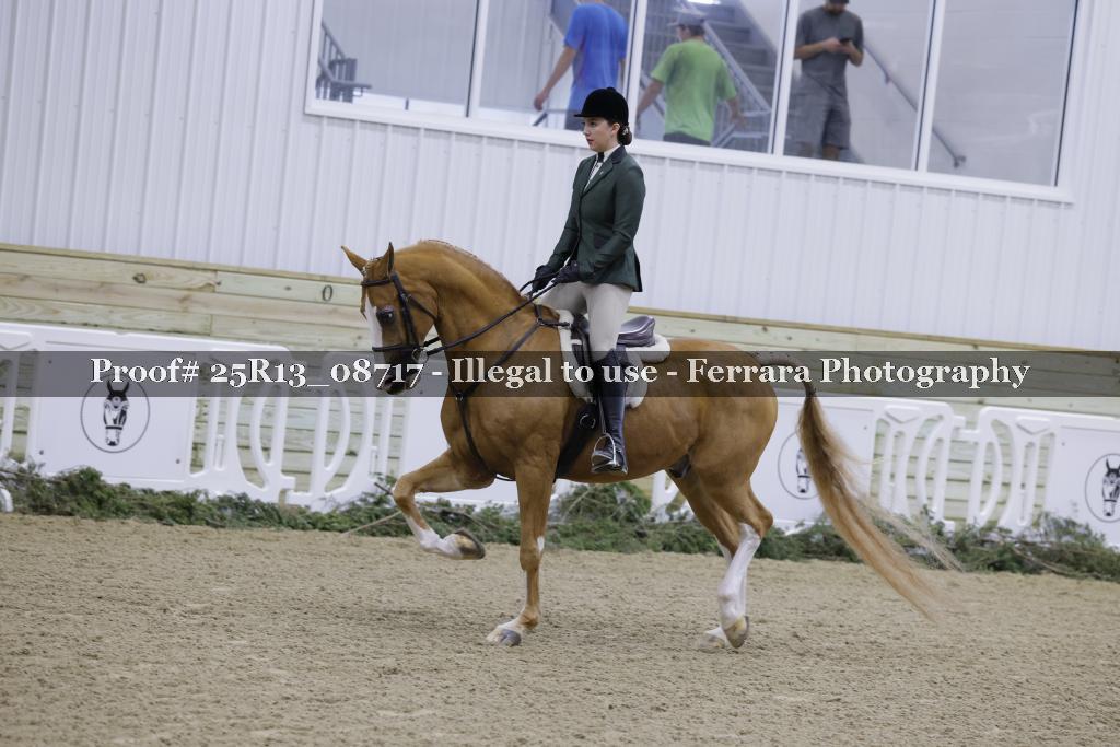 Proof Number 25R13_08717