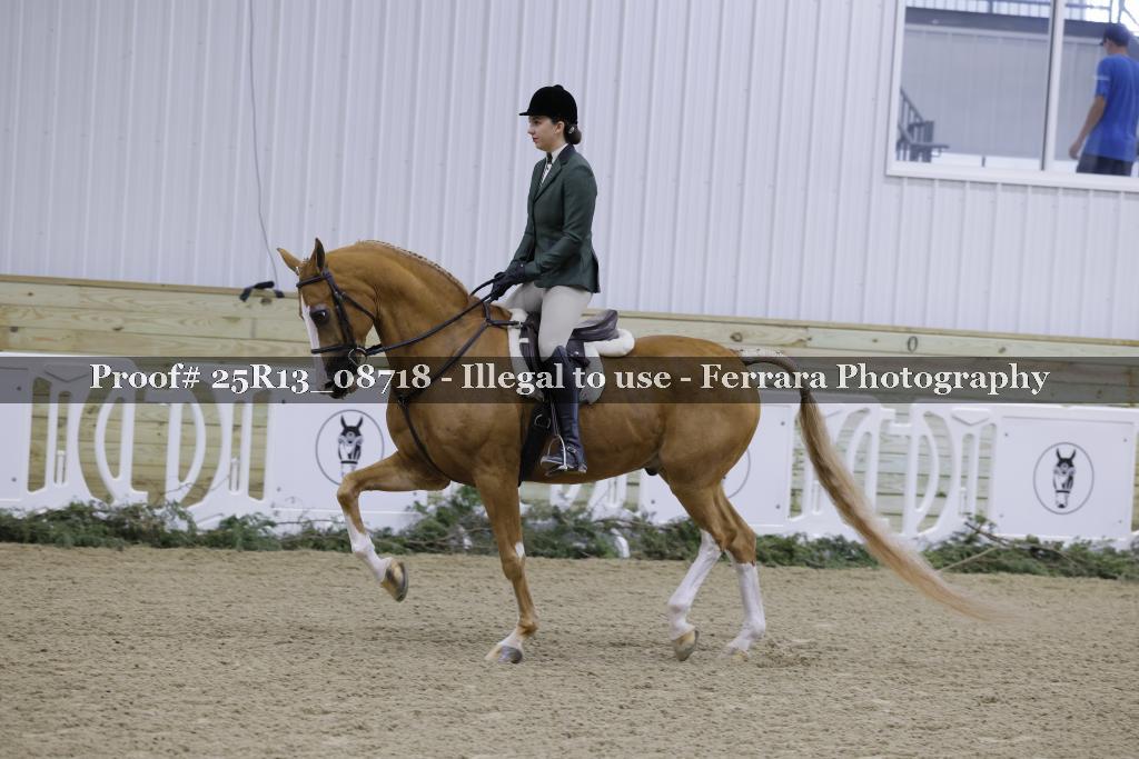 Proof Number 25R13_08718