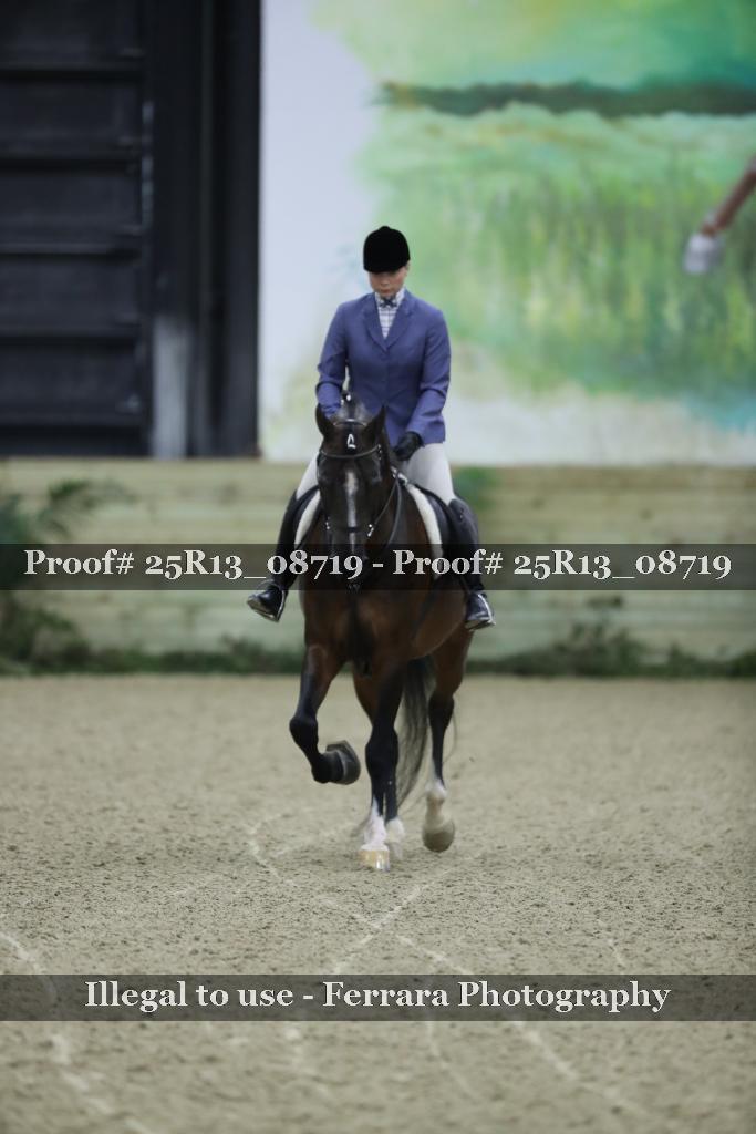 Proof Number 25R13_08719