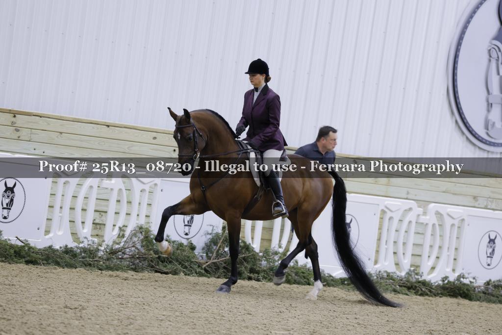 Proof Number 25R13_08720