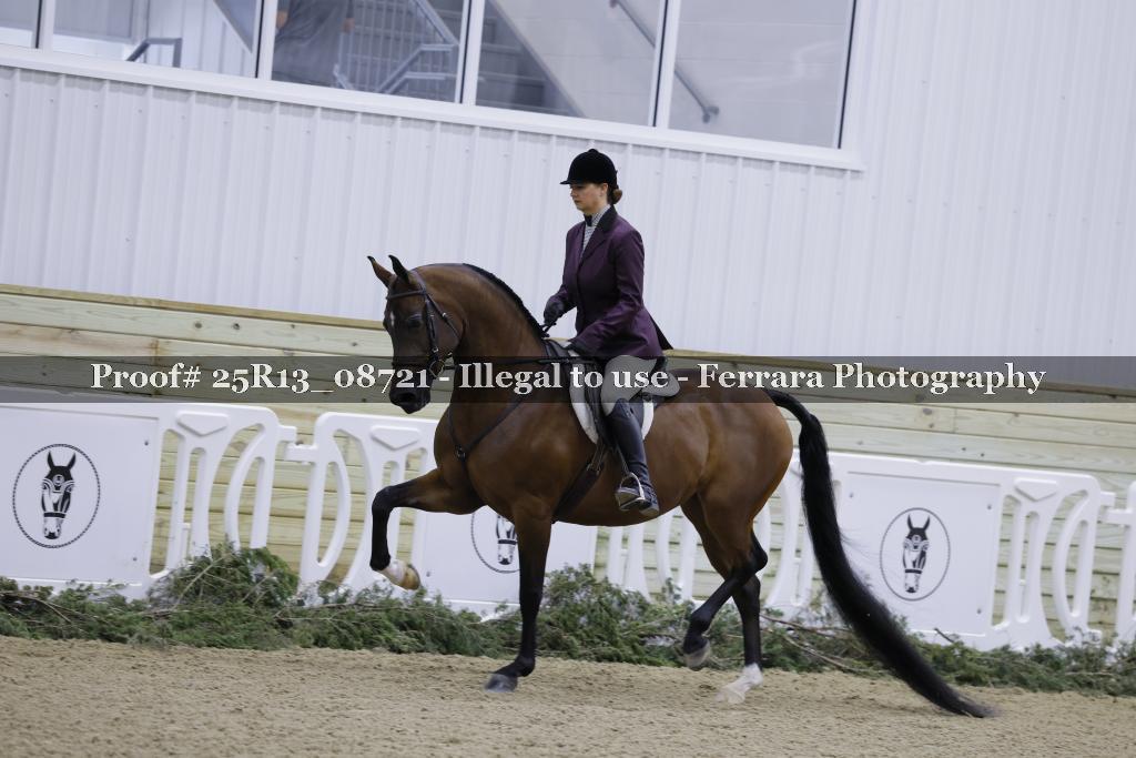 Proof Number 25R13_08721