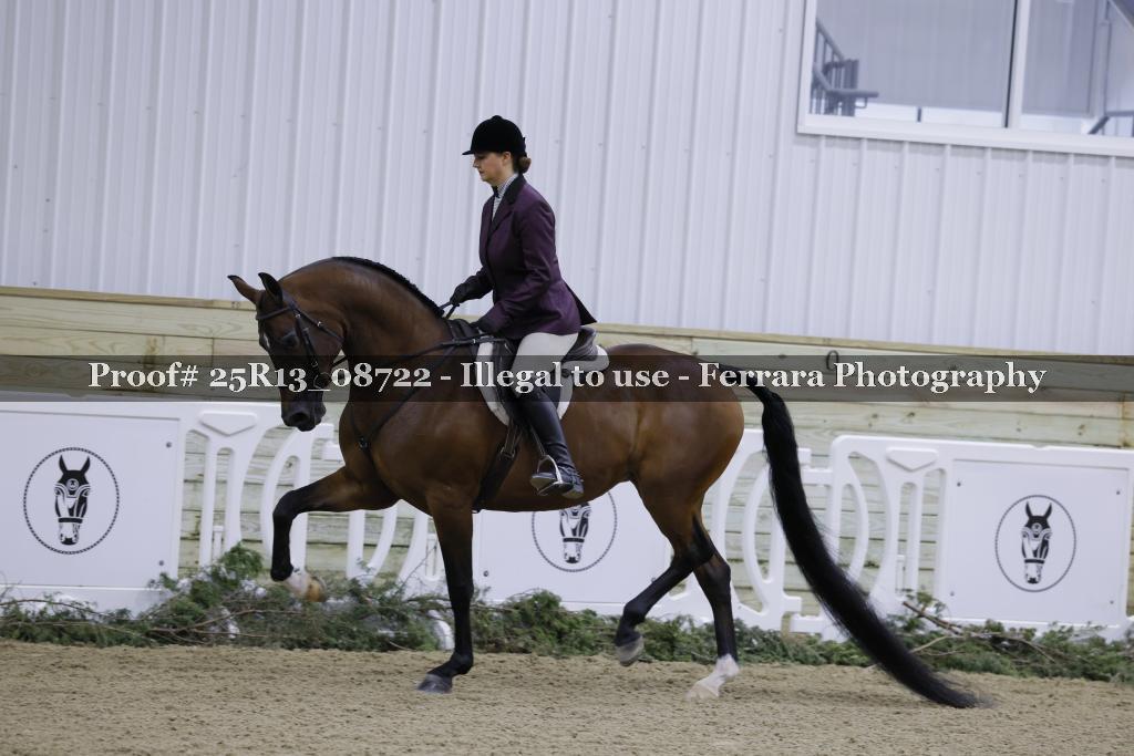 Proof Number 25R13_08722