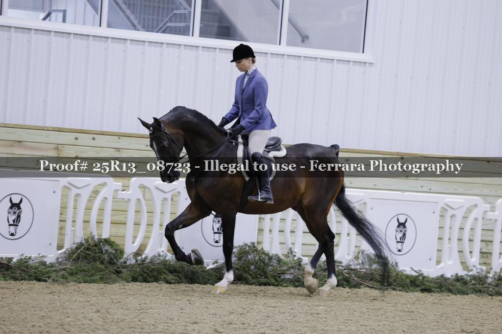 Proof Number 25R13_08723