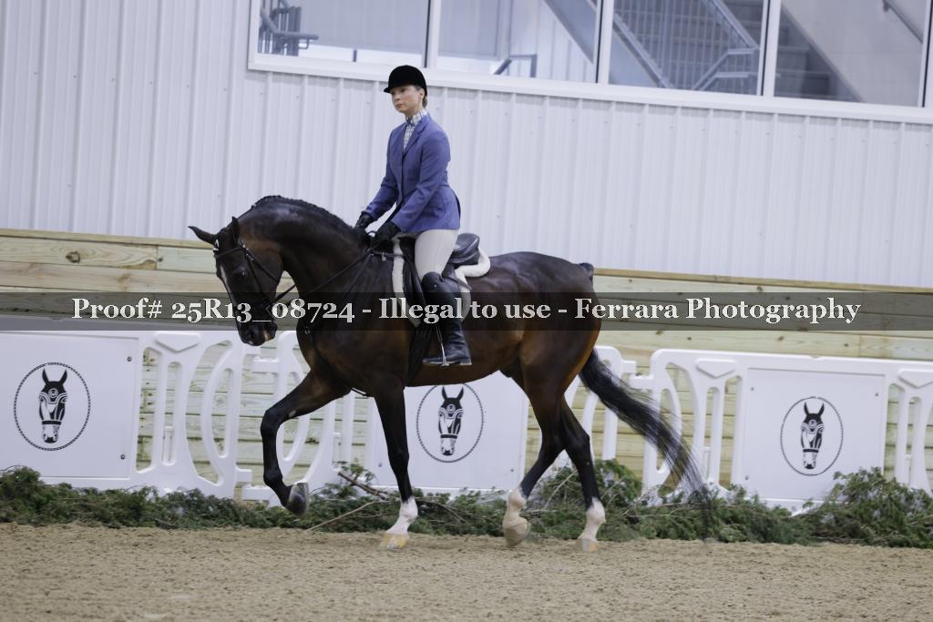 Proof Number 25R13_08724