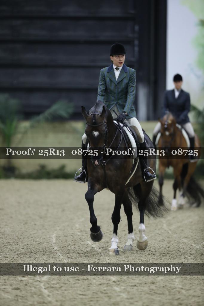 Proof Number 25R13_08725