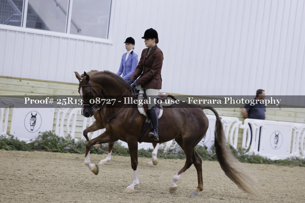 Proof Number 25R13_08727