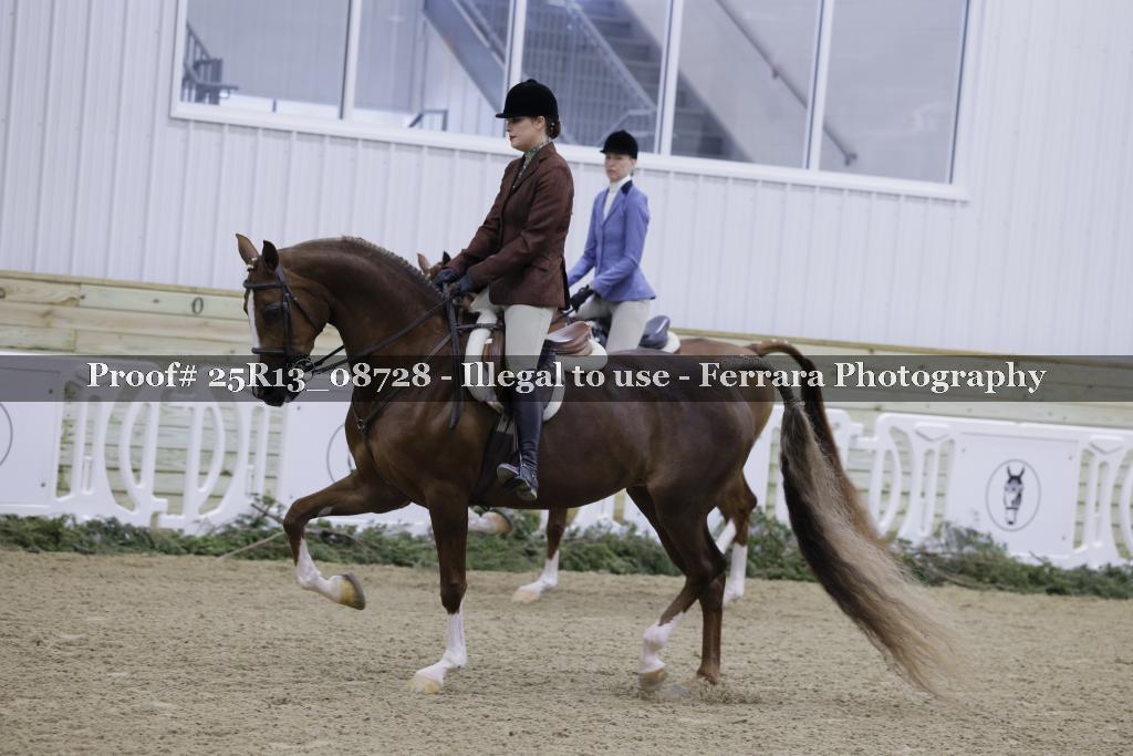 Proof Number 25R13_08728