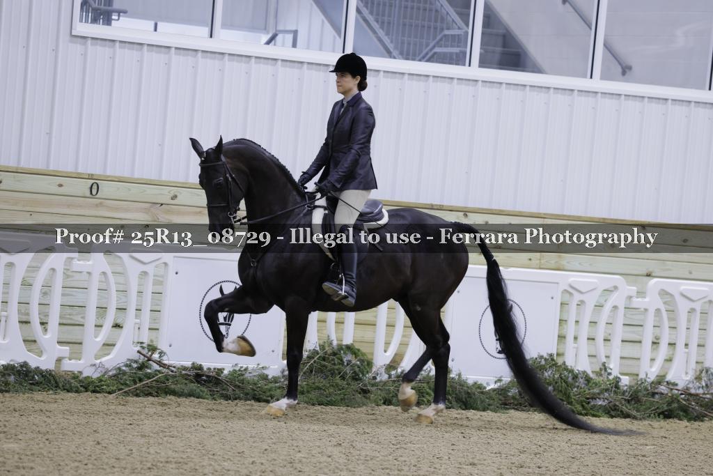 Proof Number 25R13_08729