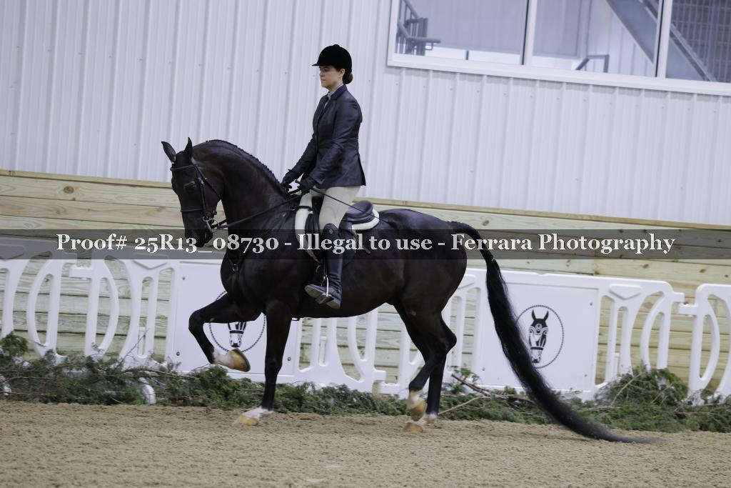 Proof Number 25R13_08730