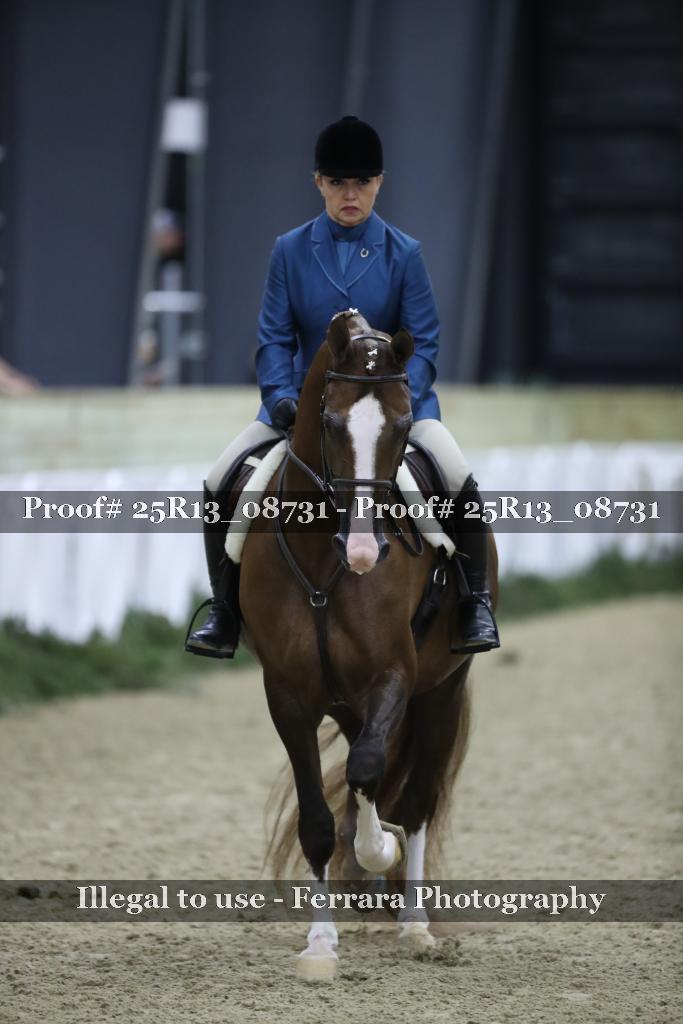Proof Number 25R13_08731