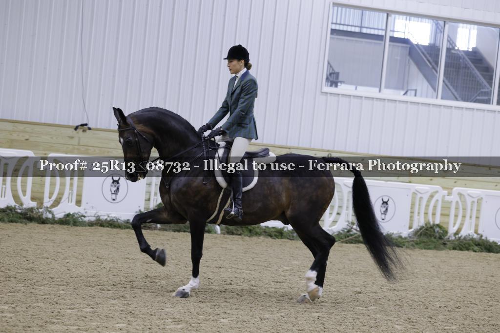 Proof Number 25R13_08732