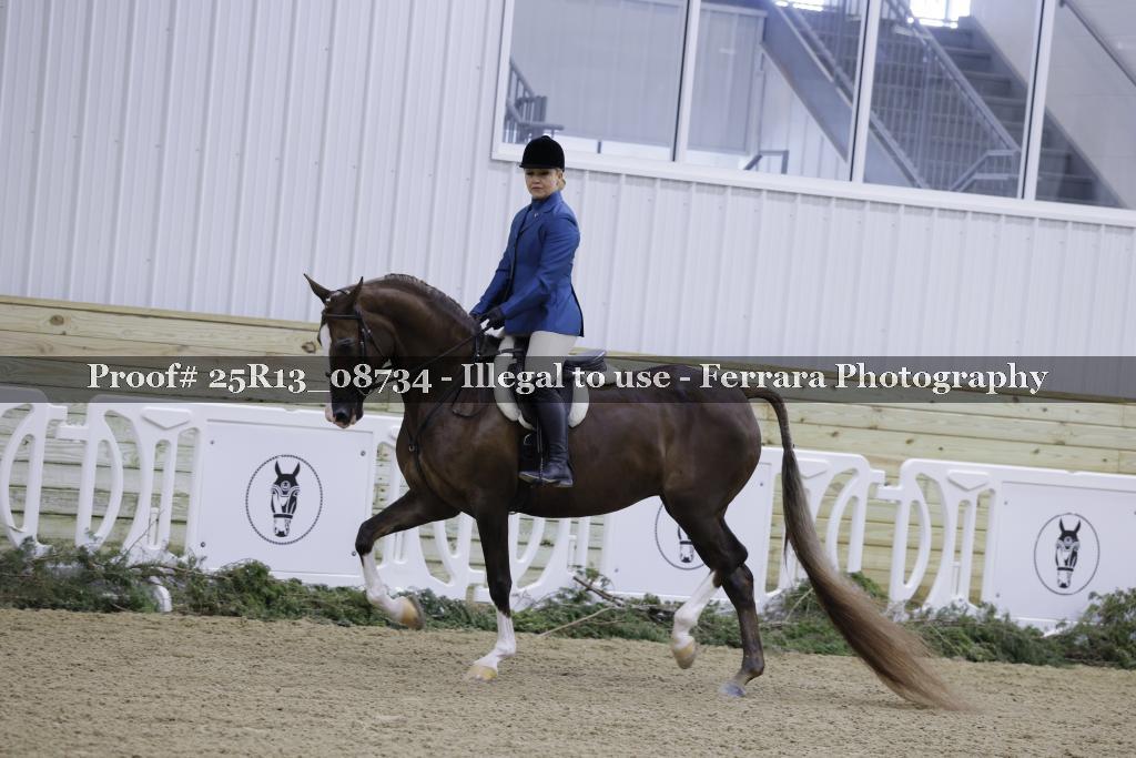 Proof Number 25R13_08734
