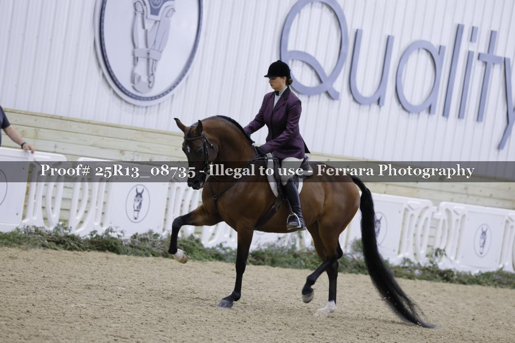 Proof Number 25R13_08735