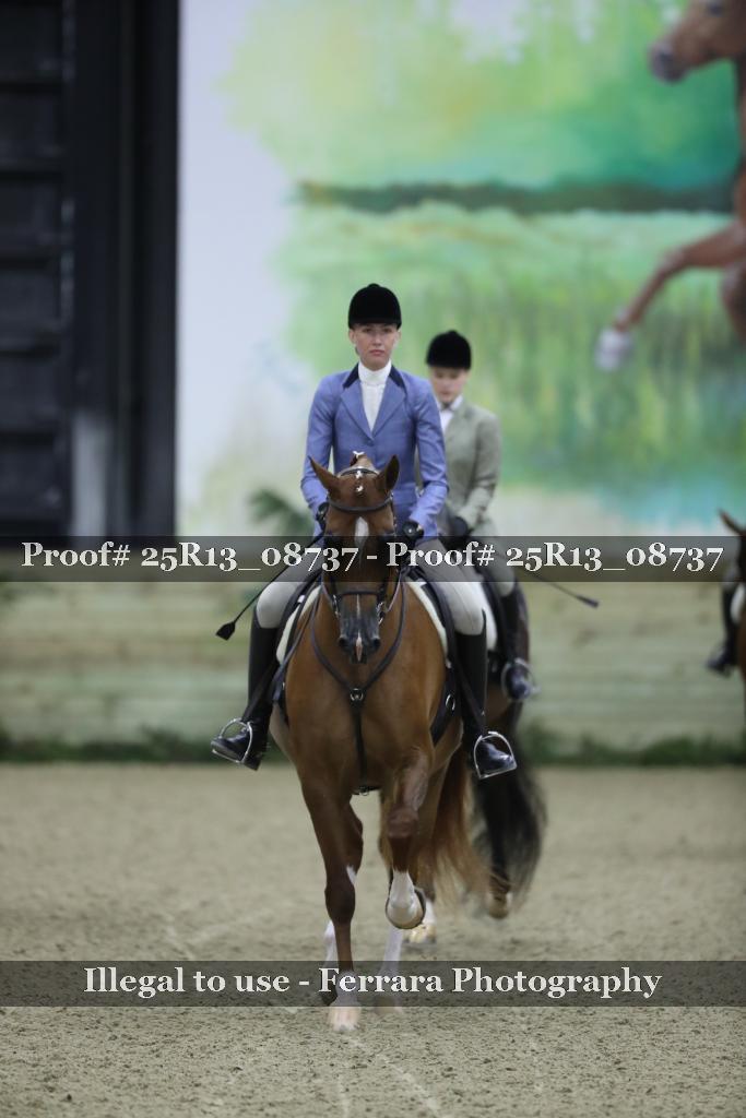Proof Number 25R13_08737