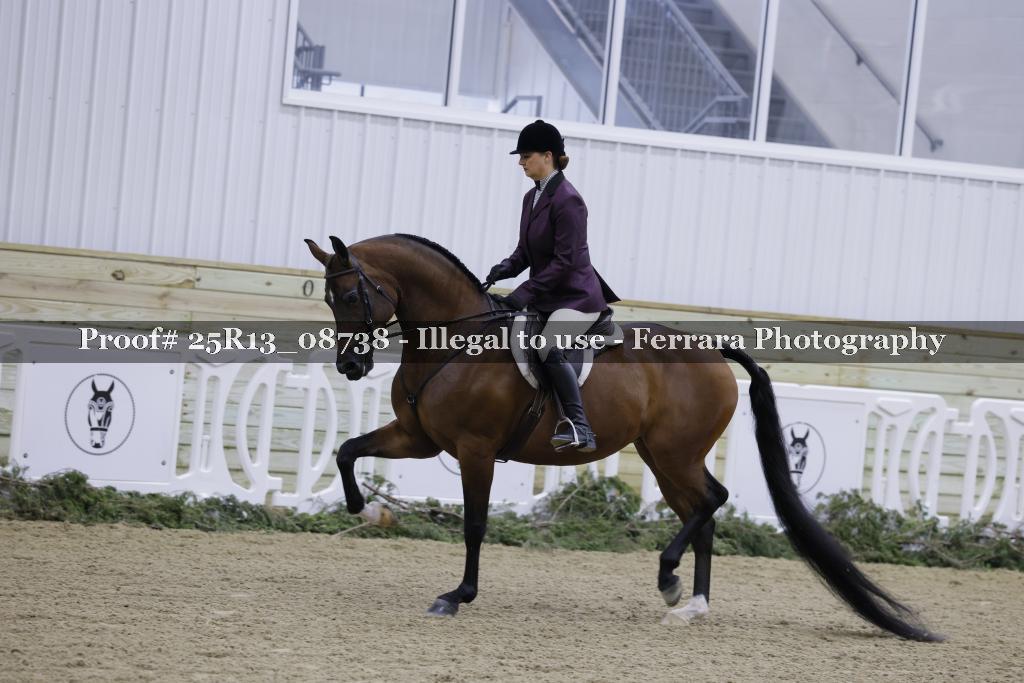 Proof Number 25R13_08738