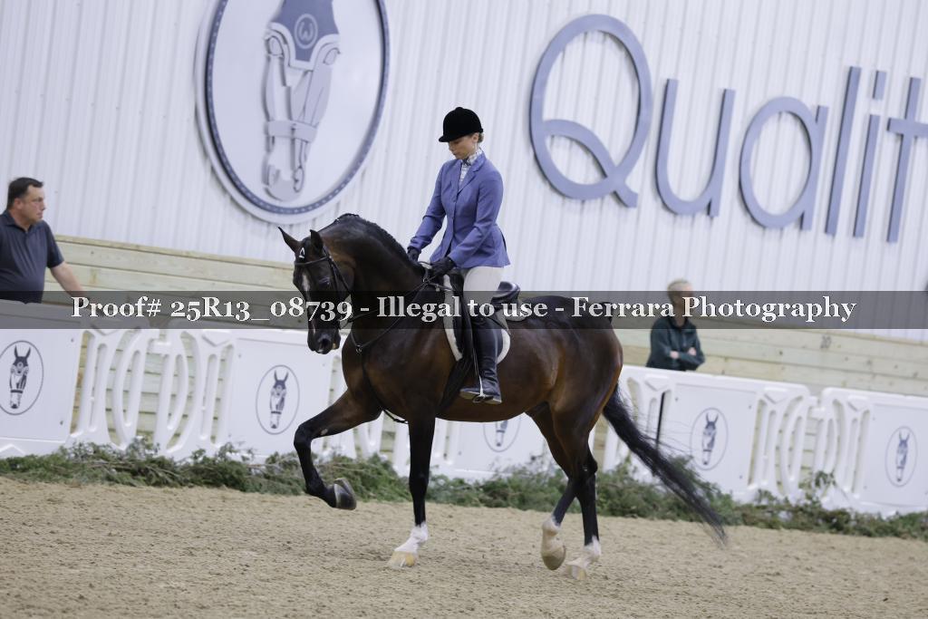 Proof Number 25R13_08739