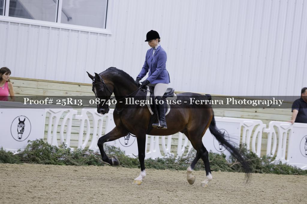 Proof Number 25R13_08740