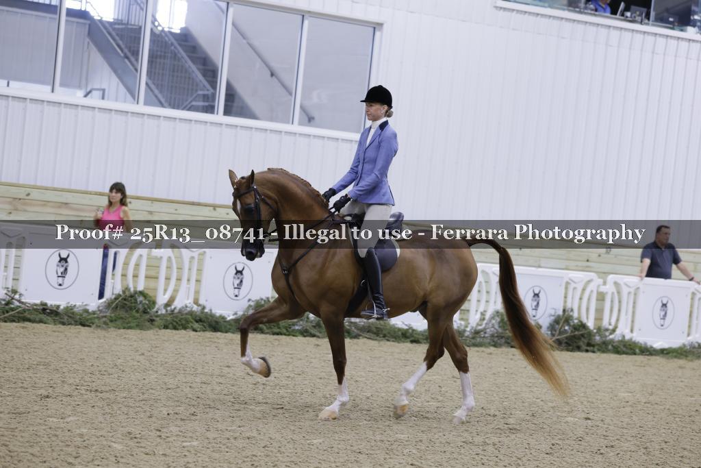 Proof Number 25R13_08741