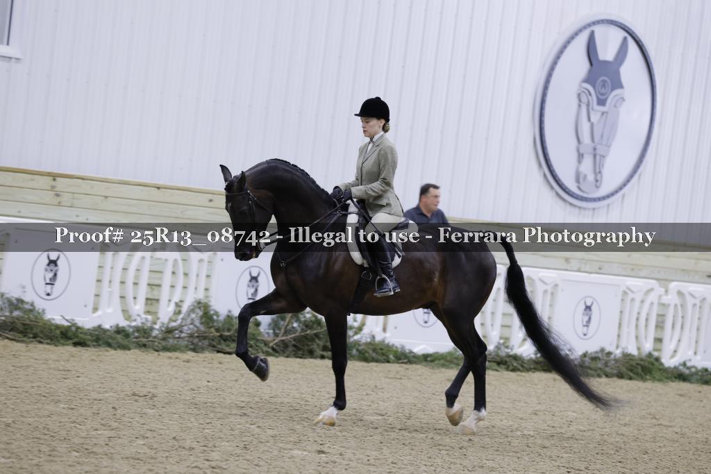 Proof Number 25R13_08742