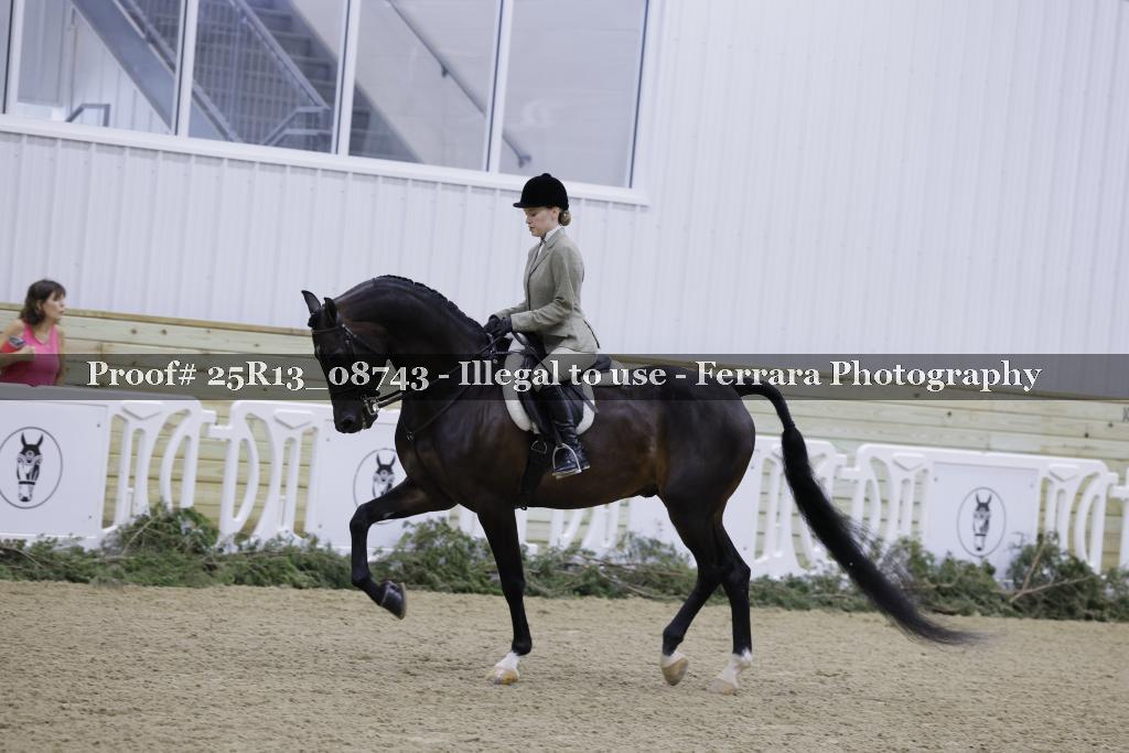 Proof Number 25R13_08743